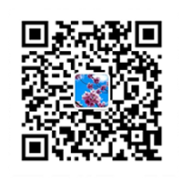 Dongguan dobon Technology Co., Ltd.